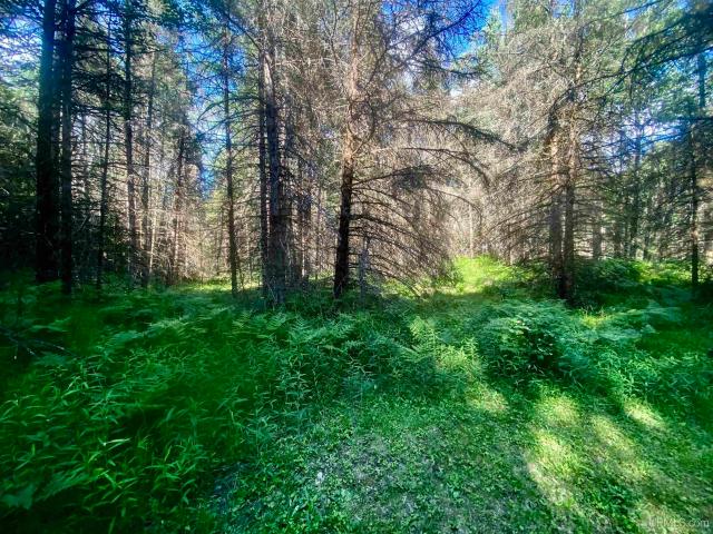 Land for sale in Arnold, Michigan