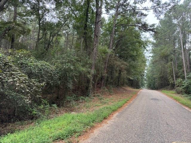 Land for sale in Tylertown, Mississippi