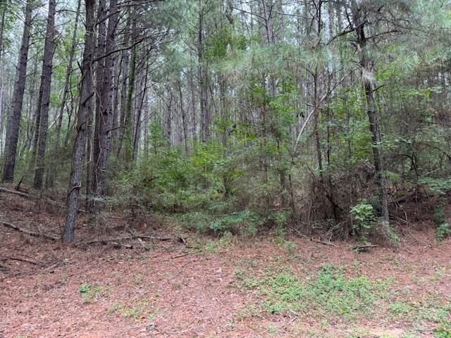 Land for sale in Tylertown, Mississippi