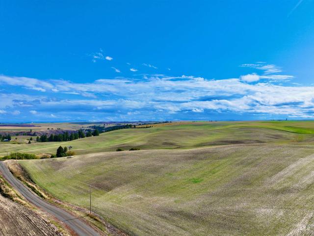 Farm for sale in Craigmont, Idaho