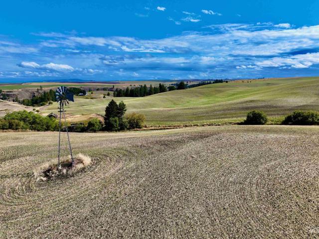 Land for sale in Craigmont, Idaho