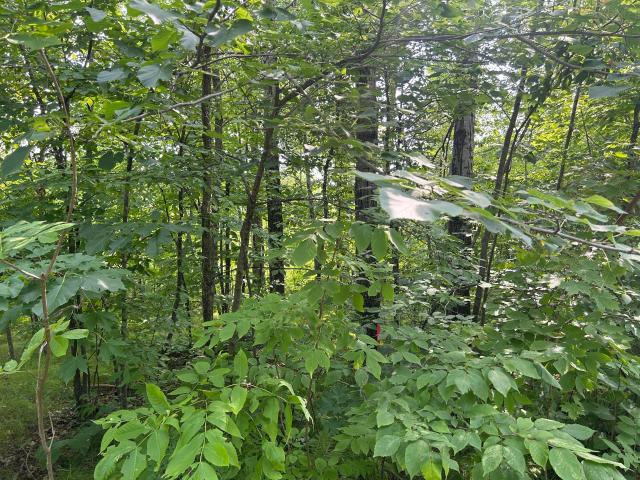 Land for sale in Garrison, Minnesota