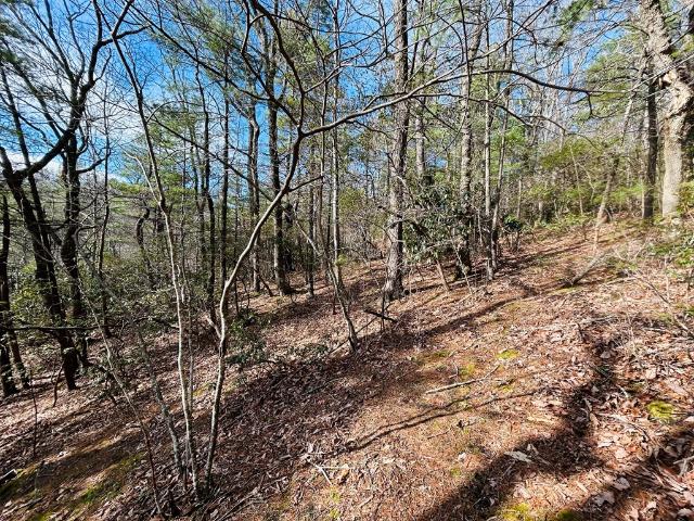Land for sale in Virginia