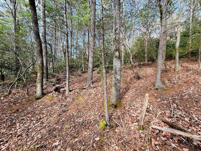 Land for sale in Carroll County, Virginia