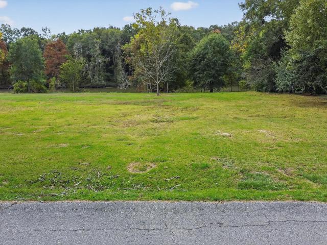 Land for sale in Iberia, Louisiana