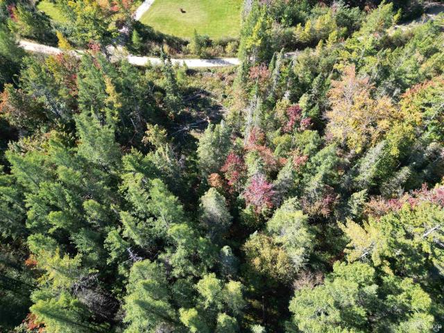 Land for sale in Michigan