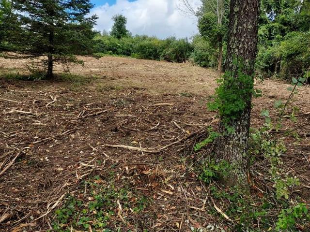 Land for sale in Virginia