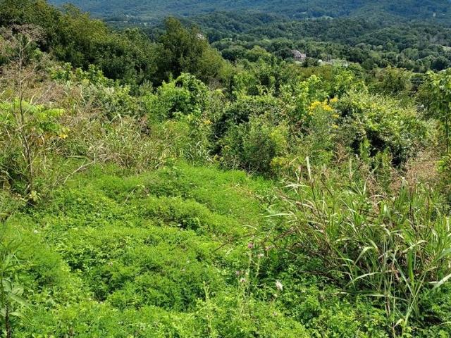 Land for sale in Virginia