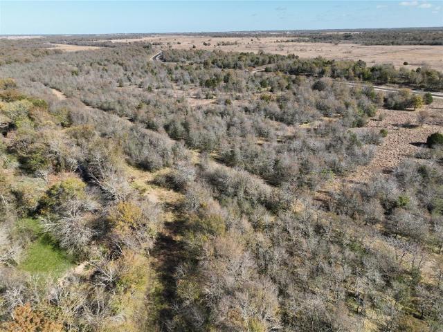 Land for sale in Wills Point, Texas