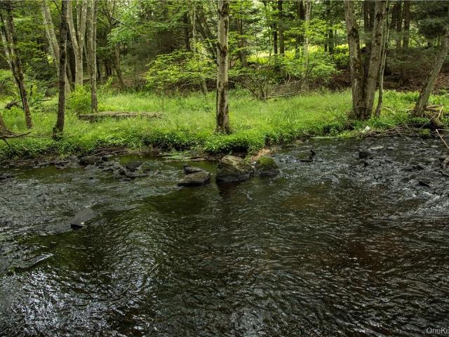 Land for sale in Bethel, New York