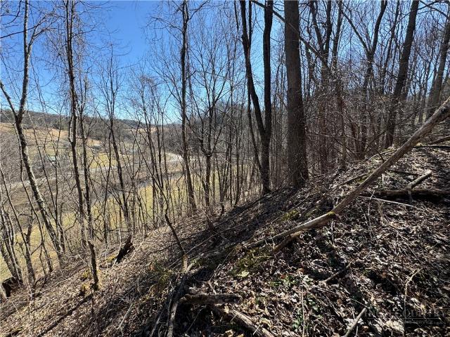 Land for sale in Lansing, North Carolina