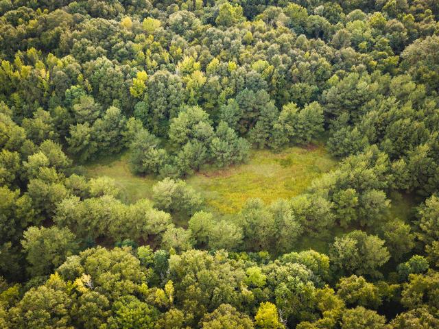 Land for sale in Montezuma, Georgia