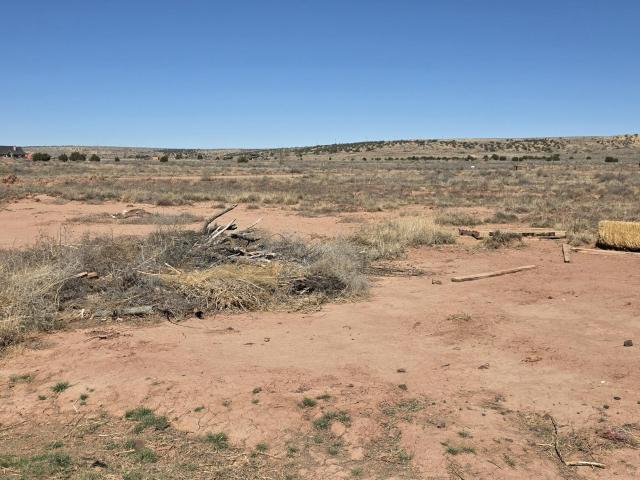 Land for sale in Navajo, Arizona