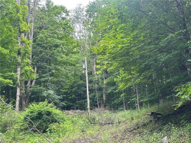 Land for sale in Watauga, North Carolina