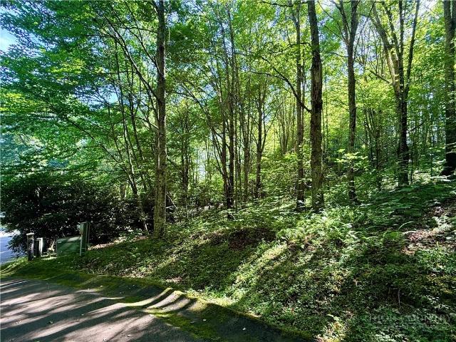 Land for sale in Watauga, North Carolina