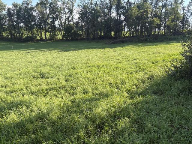Land for sale in Virginia