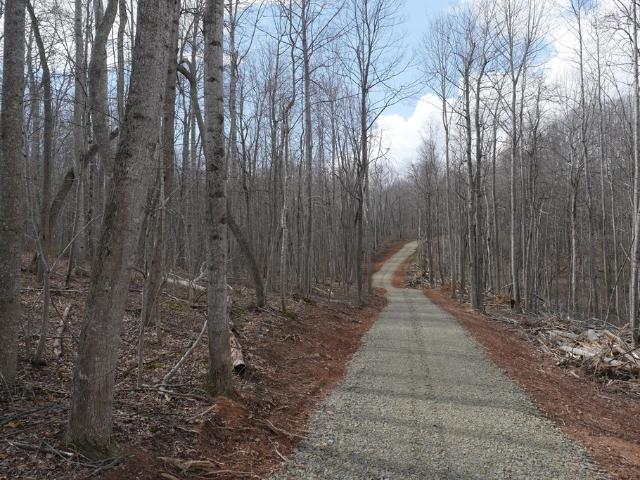 Land for sale in Virginia