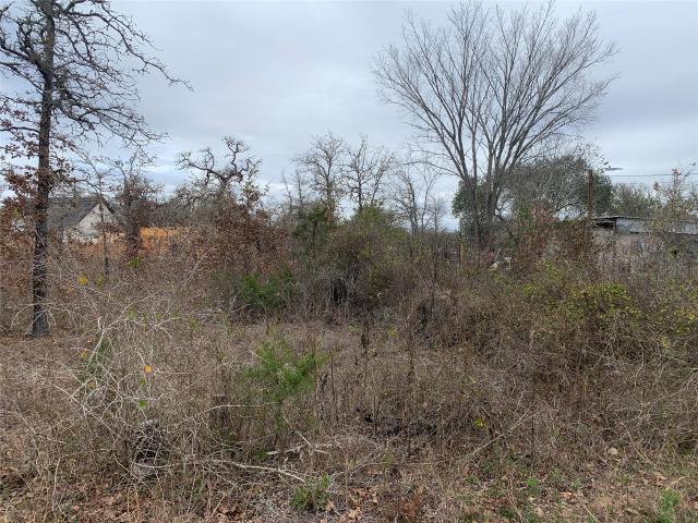 Land for sale in Smithville, Texas