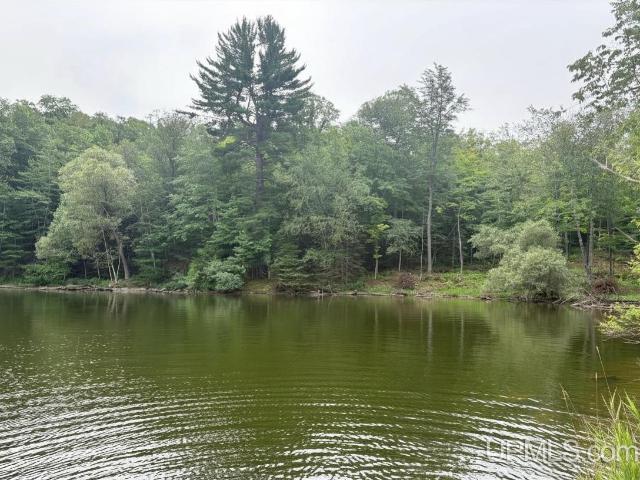 Land for sale in Michigan