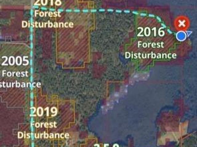 Land for sale in Hubbard, Minnesota