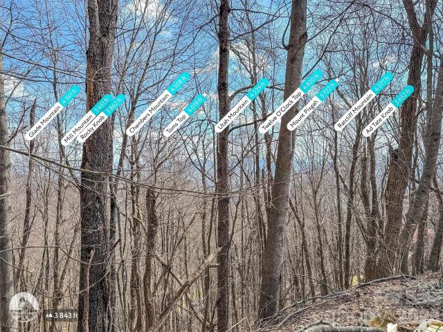 Land for sale in Haywood, North Carolina