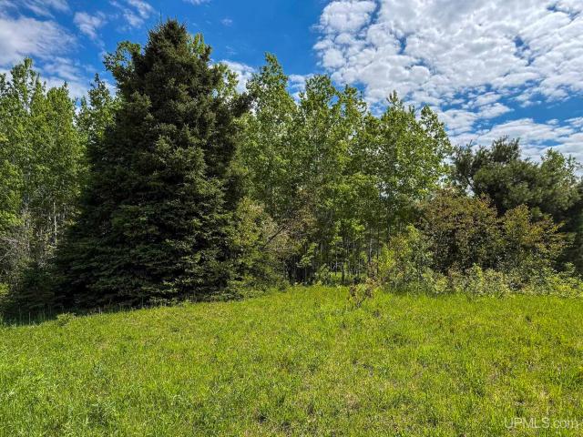 Land for sale in Houghton, Michigan