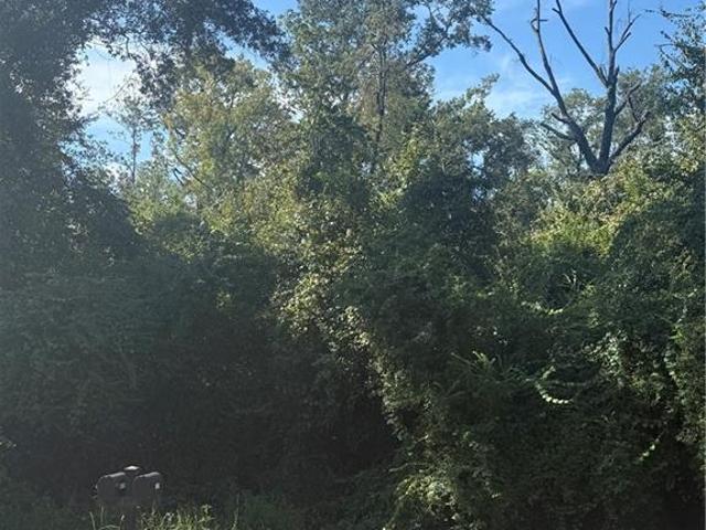 Land for sale in Tickfaw, Tangipahoa Parish