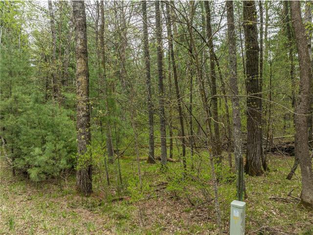 Land for sale in Hubbard, Minnesota
