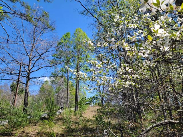 Land for sale in Virginia