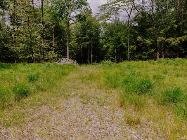 Land for sale in Roscoe, New York