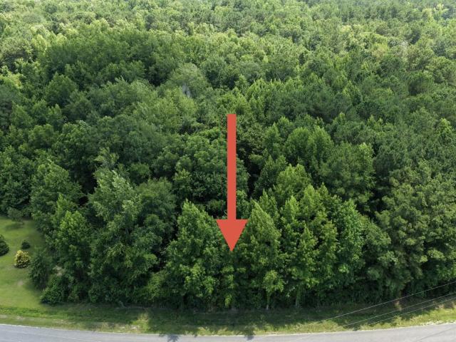 Land for sale in Green Sea, South Carolina