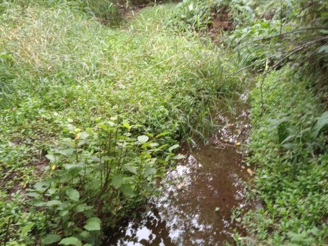 Land for sale in Bessemer, Michigan