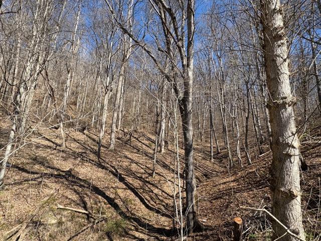 Land for sale in Virginia