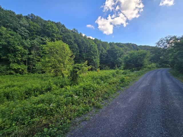 House for sale in North Tazewell, Tazewell