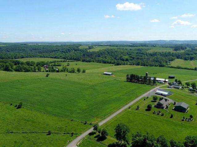 House for sale in Bruceton Mills, West Virginia