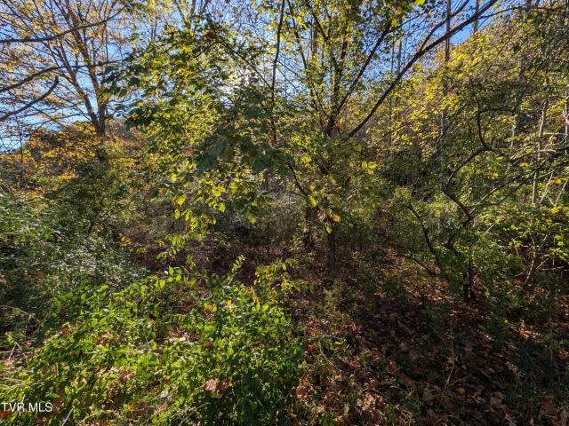 Land for sale in Clinchport, Scott County