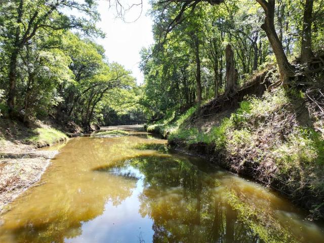 Land for sale in Eastland, Texas