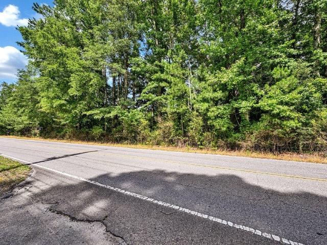 Land for sale in Alabama