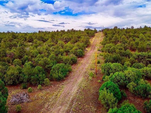 Land for sale in Arizona