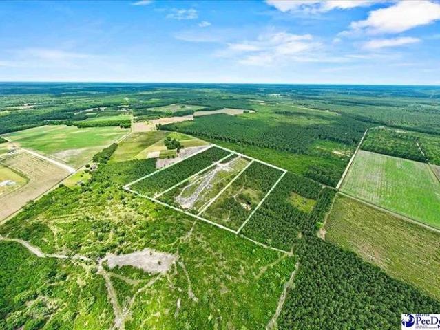 Land for sale in Scranton, South Carolina