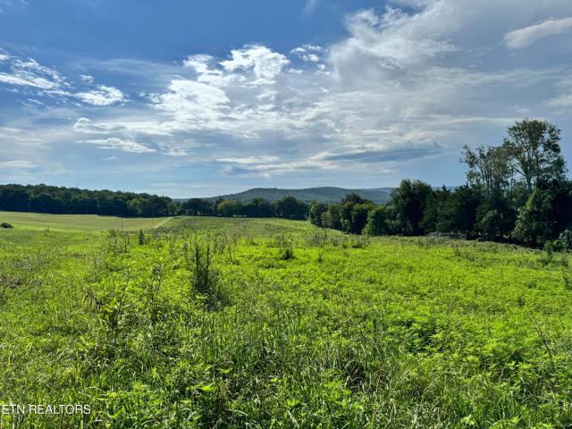Land for sale in Tennessee