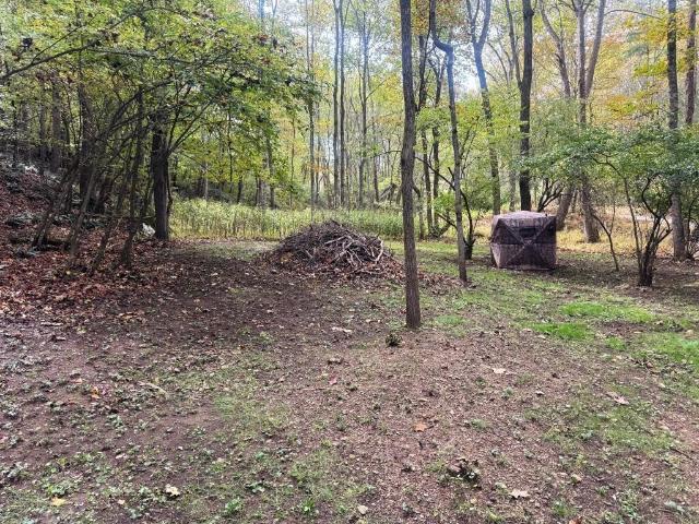 Land for sale in Eagle Furnace, Ivanhoe
