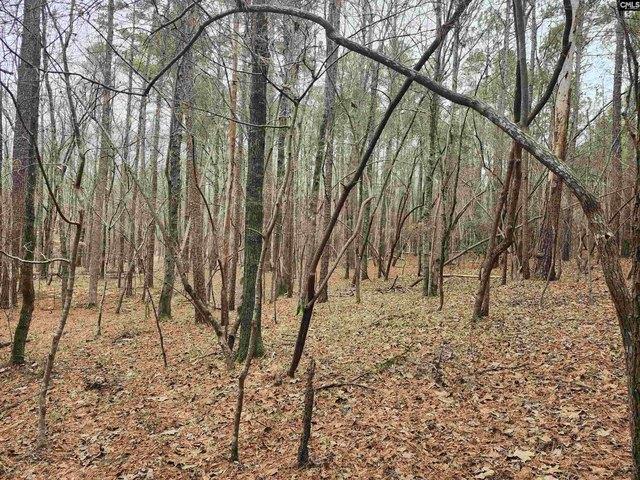 Land for sale in Ridgeway, South Carolina