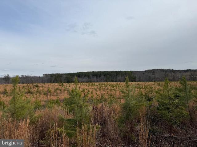 Land for sale in Virginia