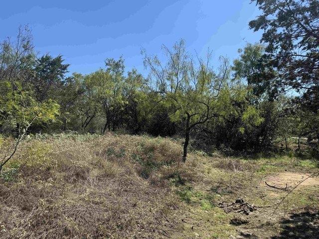 Land for sale in Kingsland, Llano County