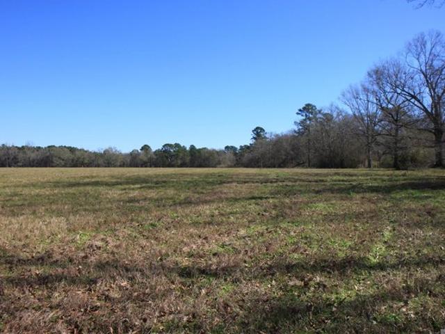 Land for sale in Ethel, Louisiana