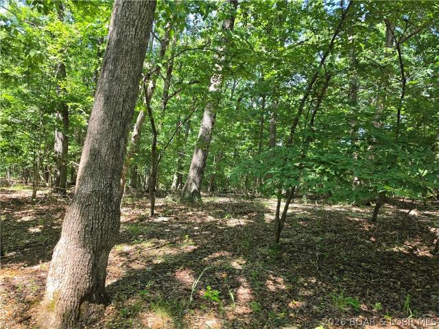 Land for sale in Gravois Mills, Missouri