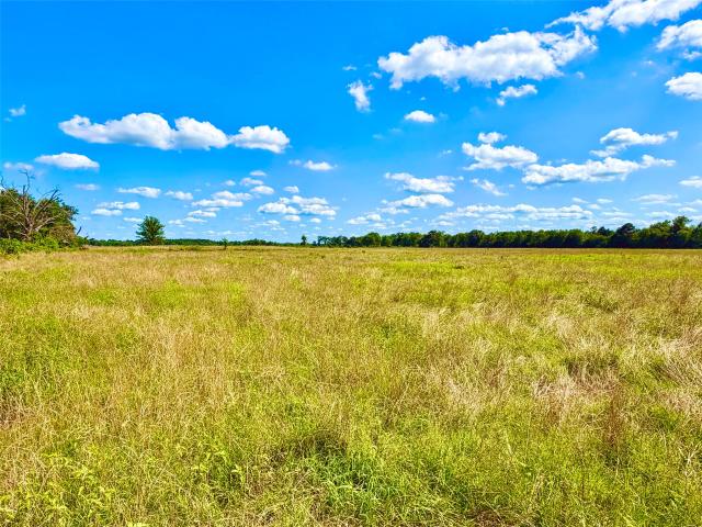 Land for sale in Crockett, Texas