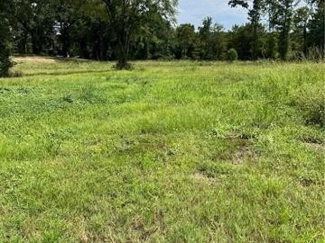 Land for sale in Zwolle, Louisiana