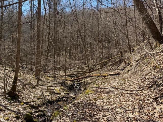 Land for sale in Virginia
